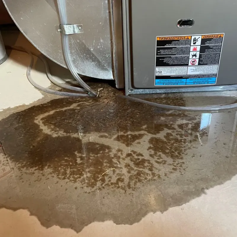 Pipe Burst and Leak Restoration in Ottawa Hills, OH
